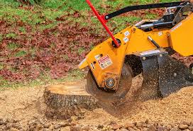 Lawn Maintenance Plans in Whitestown, IN